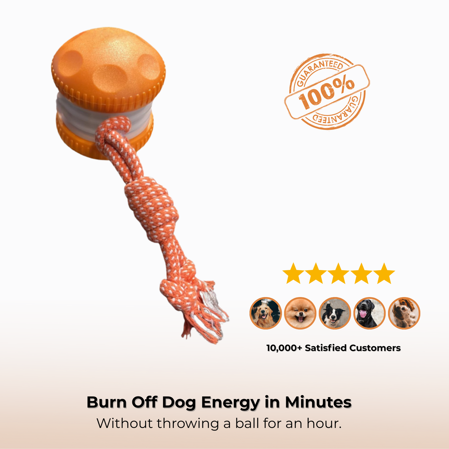 TumbleTail™ Random-Path Interactive Dog Toy