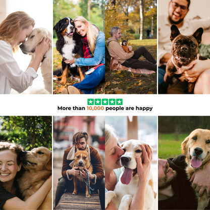 TumbleTail™ Random-Path Interactive Dog Toy