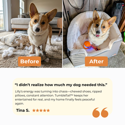 TumbleTail™ Random-Path Interactive Dog Toy