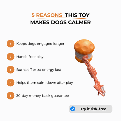 TumbleTail™ Random-Path Interactive Dog Toy