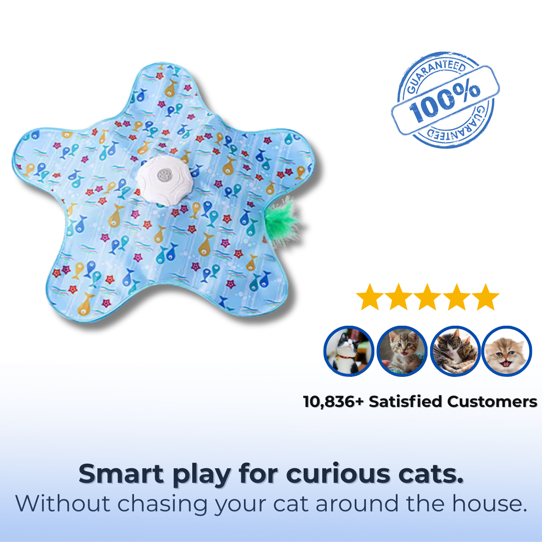 Kitty Joy™ 2-in-1 Interactive Hide & Seek Cat Toy