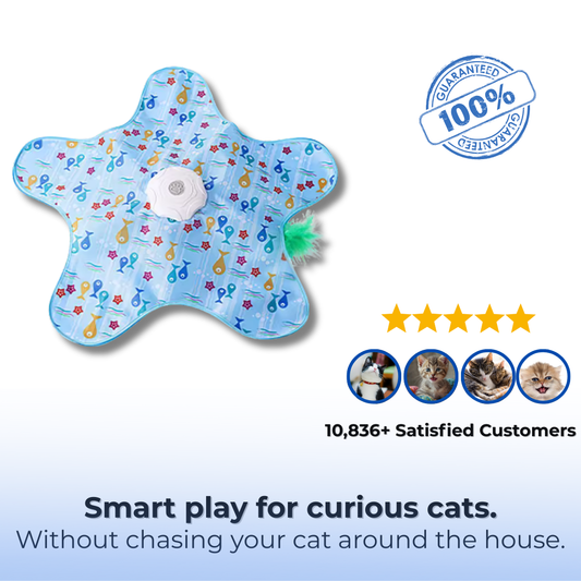 Kitty Joy™ 2-in-1 Interactive Hide & Seek Cat Toy