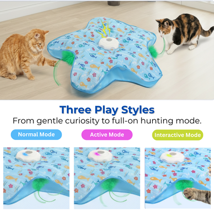 Kitty Joy™ 2-in-1 Interactive Hide & Seek Cat Toy